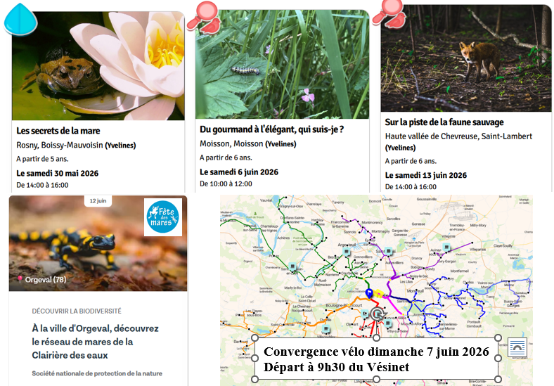 actualites-125